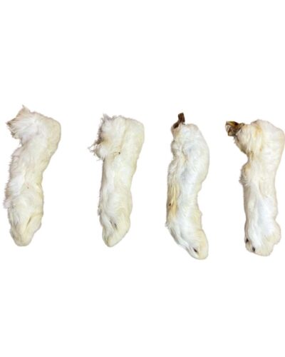 Paddock Farm Pack of 10 Hairy Rabbit Feet- Natural Dog Treat