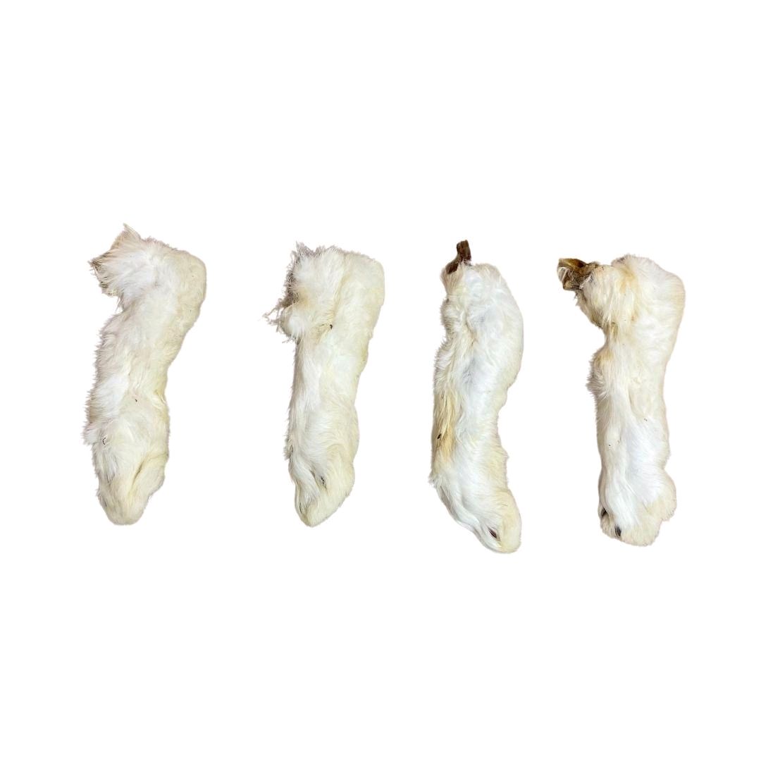 Paddock Farm Pack of 10 Hairy Rabbit Feet- Natural Dog Treat