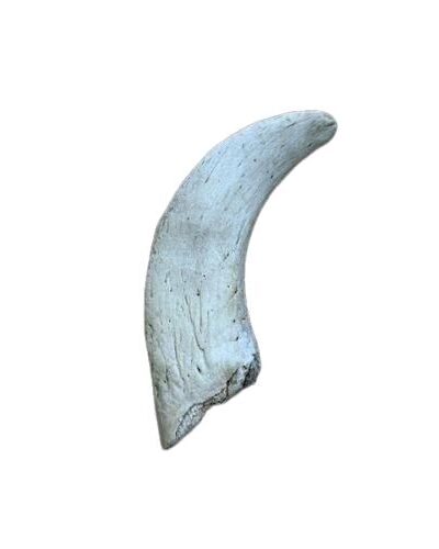 Anco Naturals Lamb Horn Marrow