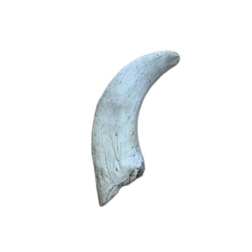 Anco Naturals Lamb Horn Marrow