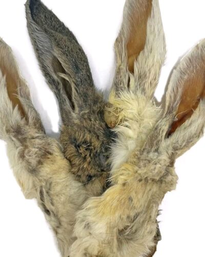 Anco Natural Rabbit Ears for Dogs