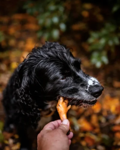 Anco Naturals Chicken Foot