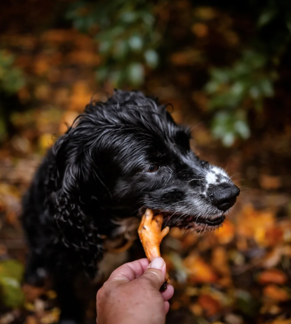 Anco Naturals Chicken Foot