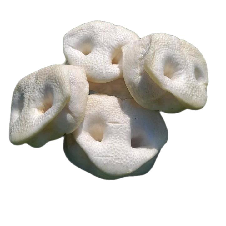 Paddock Farm Natural Dog Treat Puffed Pig Snout Pack of 3 - Image 2