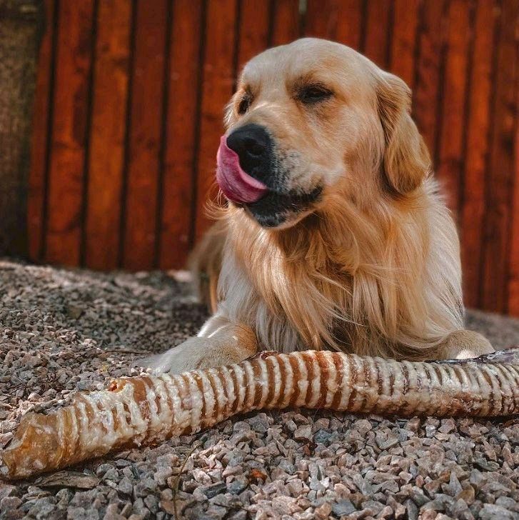 Anco Naturals Giant Bully Tube for Dogs