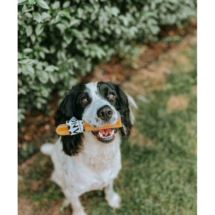 Anco Moo Chews