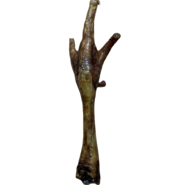 Anco Naturals Turkey Foot