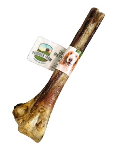 Paddock Farm Ostrich Metatarsus Bone Natural Dog Treat - Long Lasting Low Fat High Protein Chew