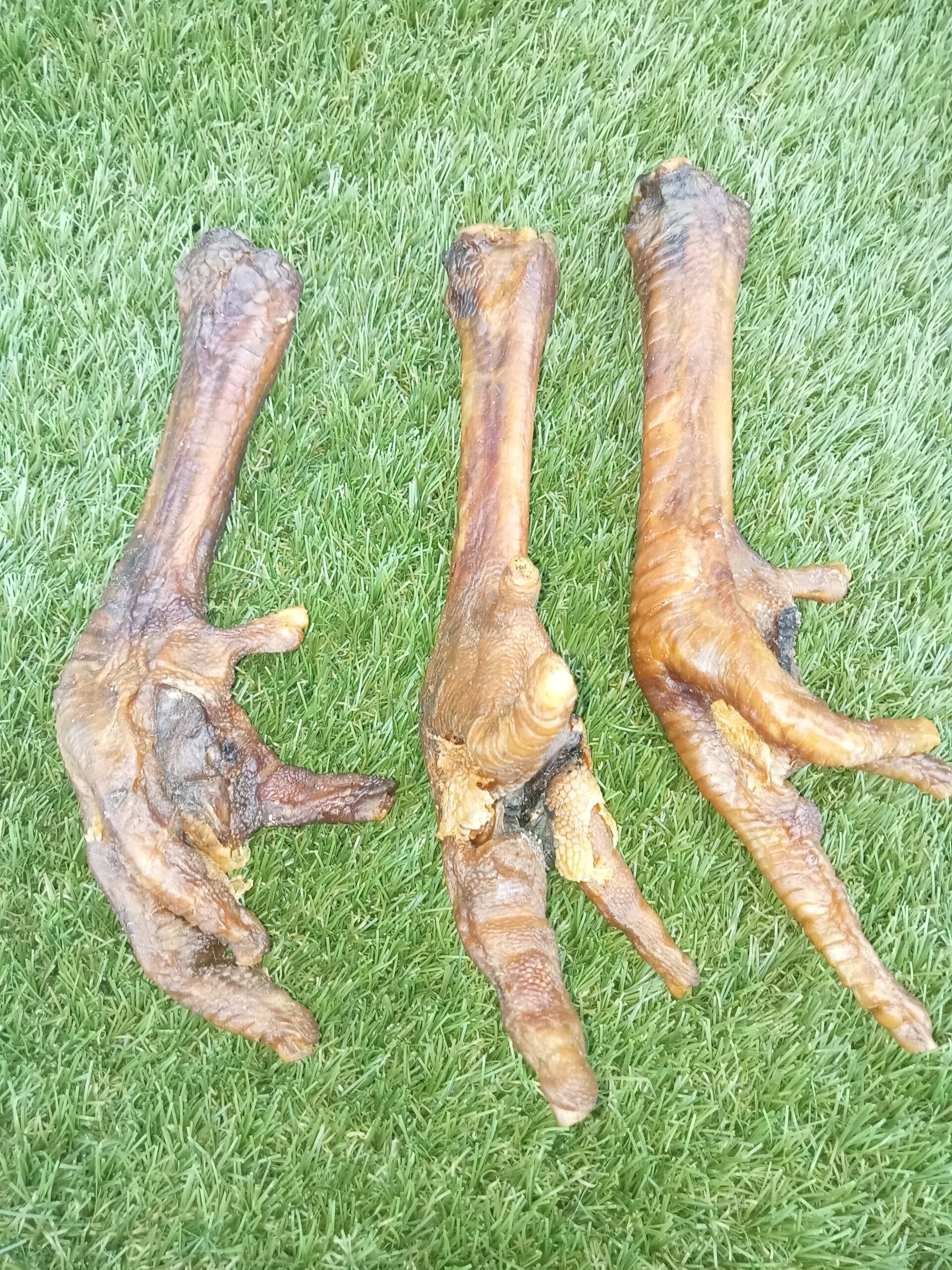 Anco Naturals Turkey Foot - Image 2