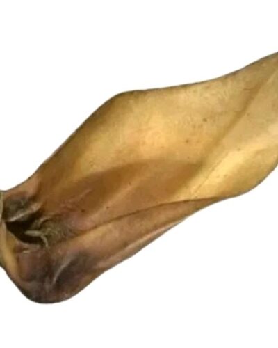 Paddock Farm Large Buffalo Ear Natural Dog Chew for Medium to Large Dogs - Delicious All-Natural Treat for Healthy Gums and Teeth