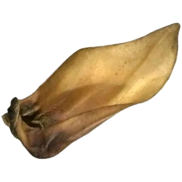Paddock Farm Large Buffalo Ear Natural Dog Chew for Medium to Large Dogs - Delicious All-Natural Treat for Healthy Gums and Teeth
