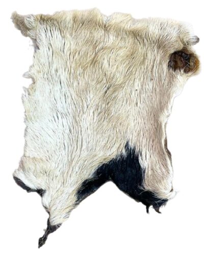 Paddock Farm - Hairy Beef Skin (XL) Natural Dog Treat
