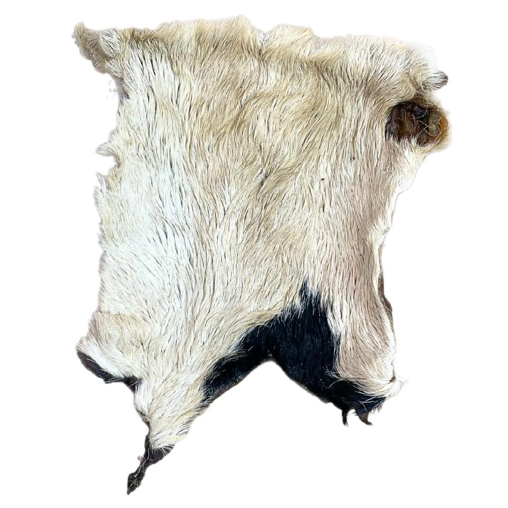 Paddock Farm - Hairy Beef Skin (XL) Natural Dog Treat