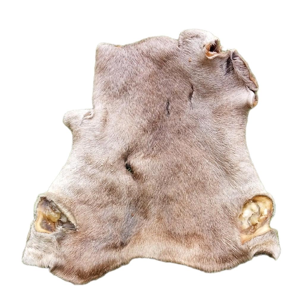 Paddock Farm - Hairy Beef Skin (XL) Natural Dog Treat - Image 5
