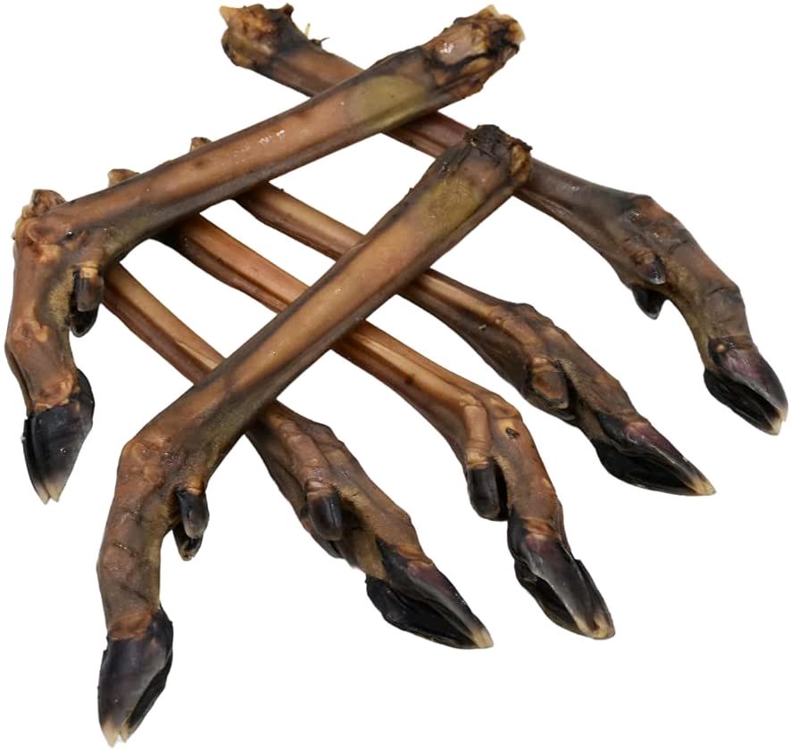 Anco Naturals Roe Deer Leg (1) - Natural Dog Treat - Image 2