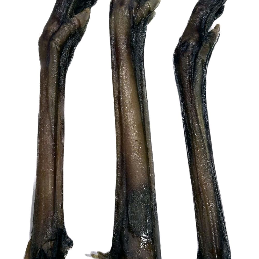 Anco Naturals Roe Deer Leg (1) - Natural Dog Treat - Image 3