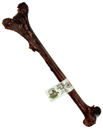 Paddock Farm - Ostrich Caveman Bone