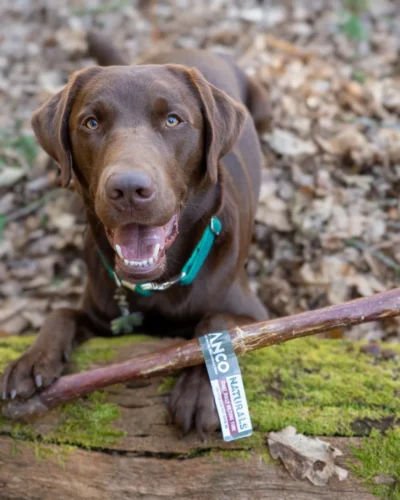 Anco Naturals Giant Bully Biltong Tube