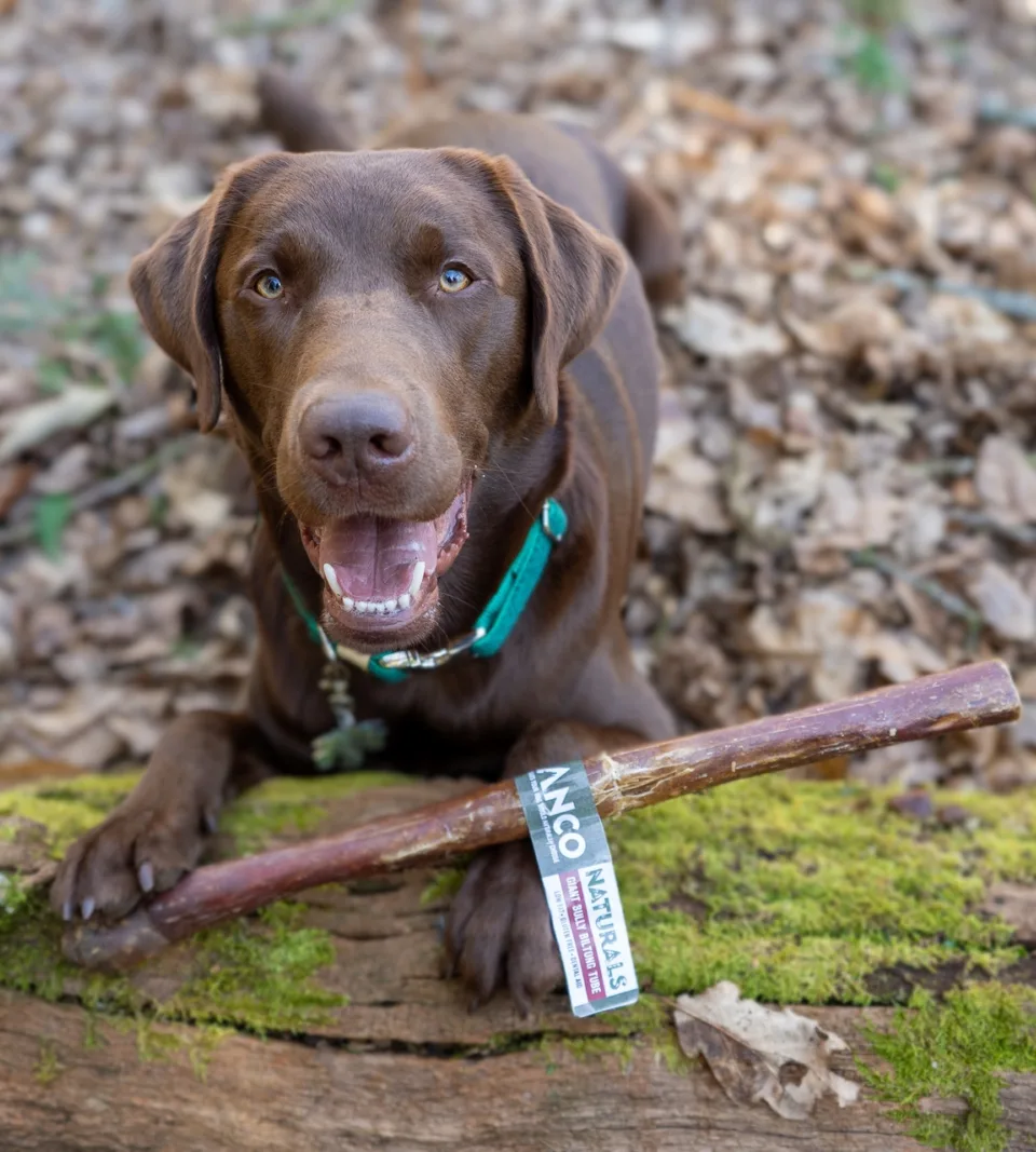 Anco Naturals Giant Bully Biltong Tube