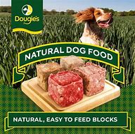 Dougie’s Raw Dog Food – Beef & Tripe 560g - Image 3