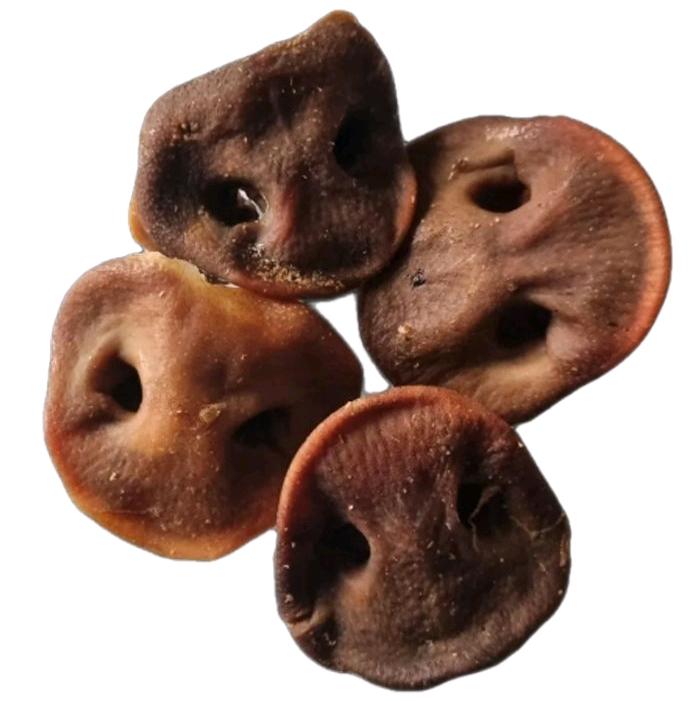 Paddock Farm 'Pig Snout' Natural Dog Treats - 100% Air Dried Pork