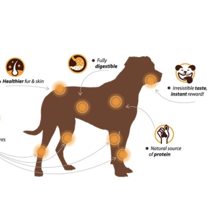 Chewllagen Collagen Chicken Flavour Chips Dog Chew - Image 3