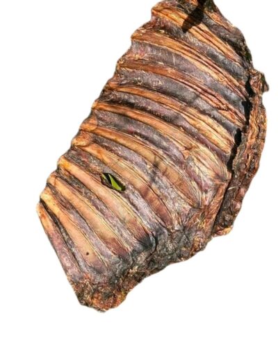 Anco Naturals Roe Deer Ribs Eco Bag 500g Dog Treats - Natural Pet Snack