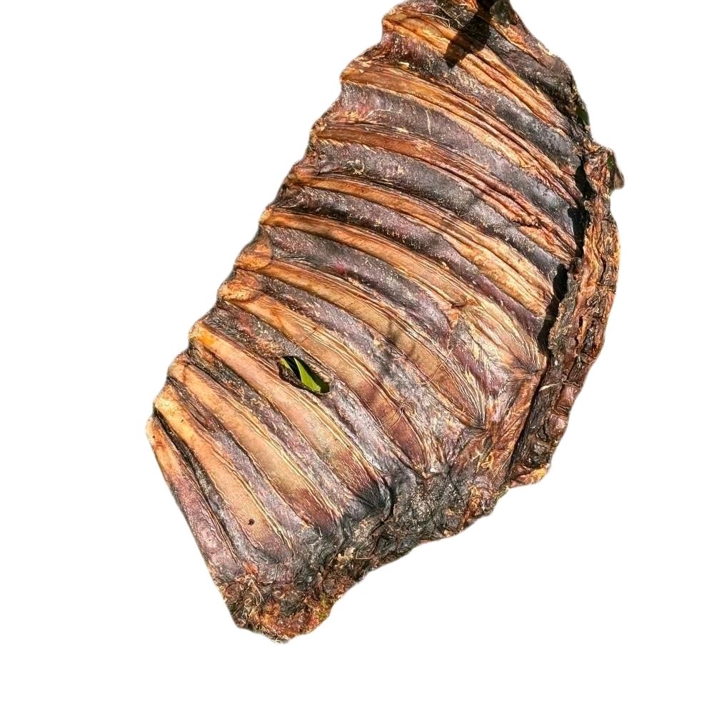 Anco Naturals Roe Deer Ribs Eco Bag 500g Dog Treats - Natural Pet Snack