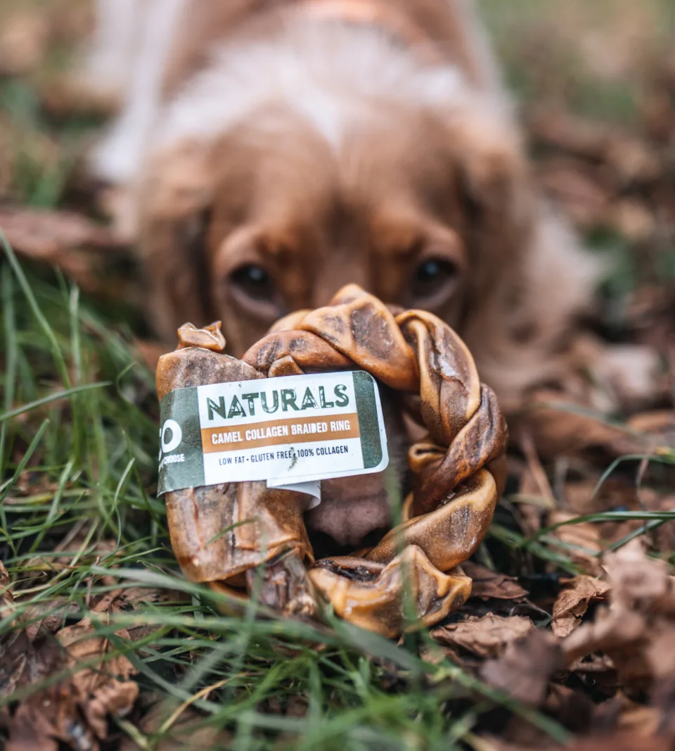 Anco Naturals Camel Collagen Braided Ring
