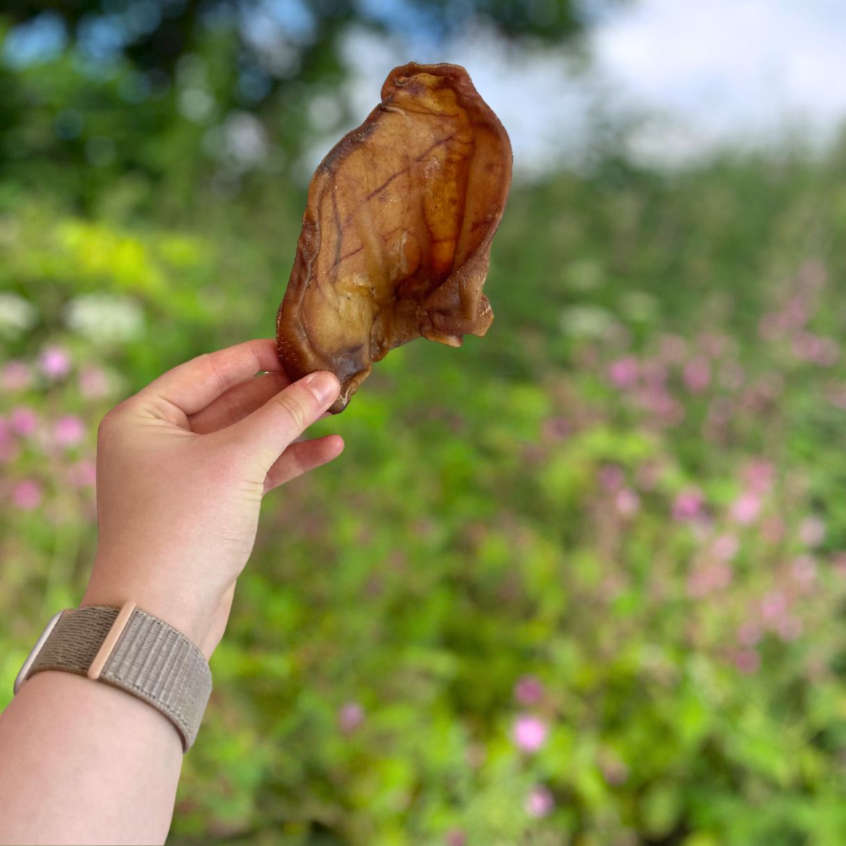 'Paddock Farm' Pig Ears Bulk x50 (box) - Image 3