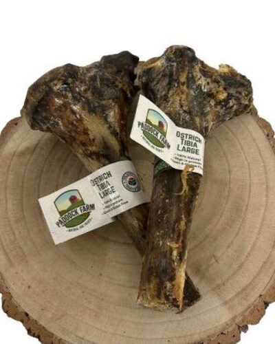 Paddock Farm Ostrich Large Tibia Bone for Dogs (1) -