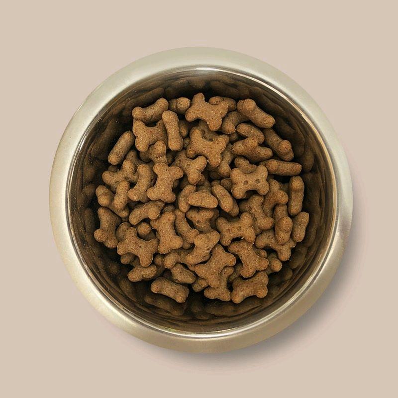 Pointer Peanut Butter Small Bite Bones Dog Treats 450g - Image 3