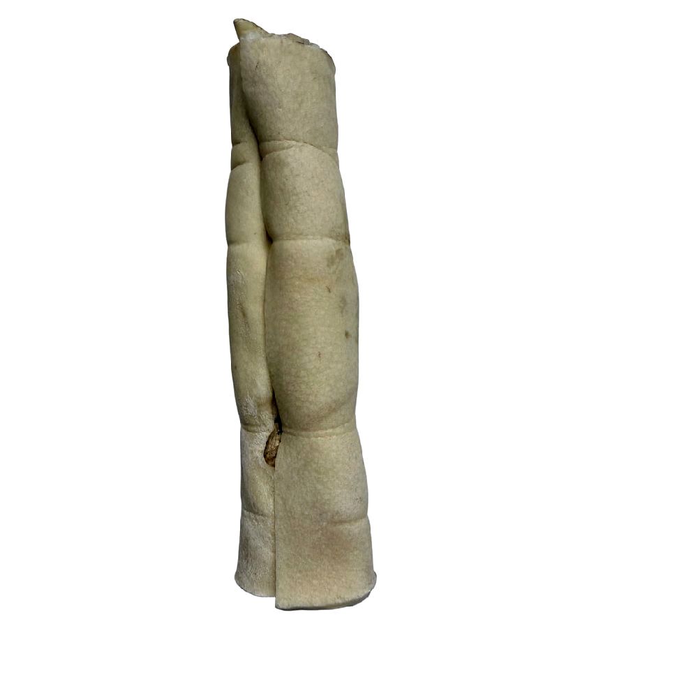 Anco Rolls - Dog Treat Bundle 6 Natural Rolls Coconut Honey Mint Bully Lamb Goat High Protein Grain-Free Air-Dried Long-Lasting Treats - Image 4