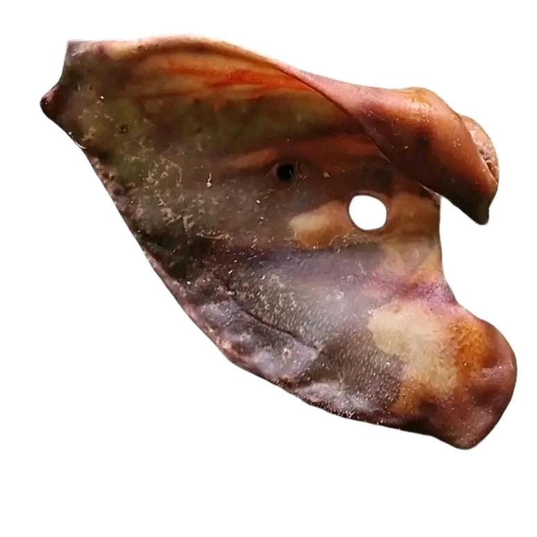 Paddock Farm XL Pigs Ear (1) - Natural Dog Treat