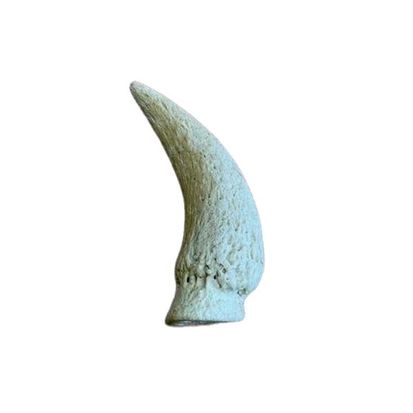 Anco Naturals Cow Horn Marrow - Natural Dog Treat for Healthy Teeth and Gums - Image 2
