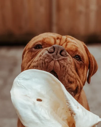 Anco Naturals Meaty Cow Ear