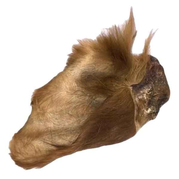 Anco Naturals Hairy Cow Ear - Natural Dog Treat